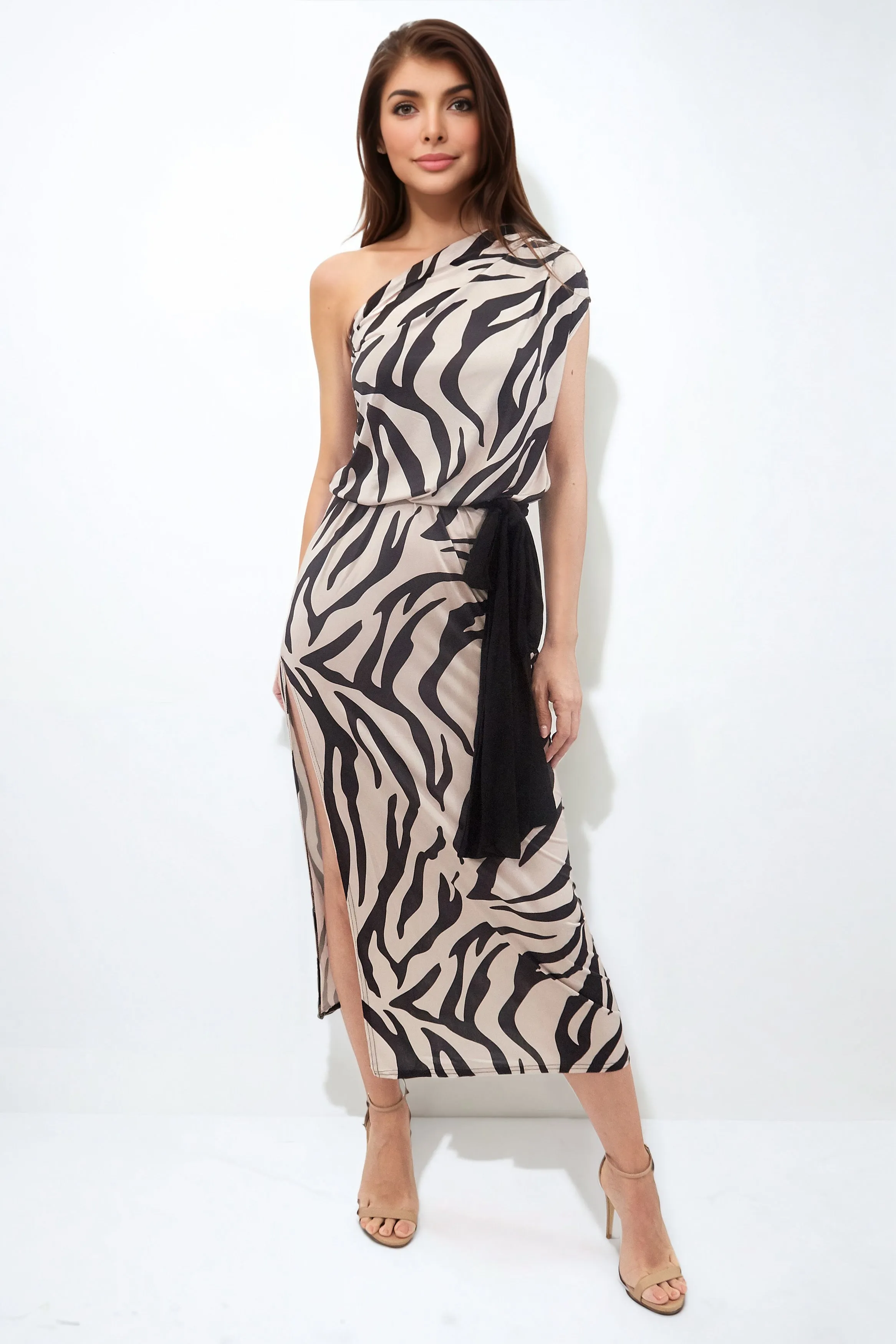 CLEO ZEBRA MAXI DRESS RESORT WEAR BEACH COVER UP