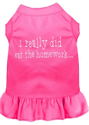 I Really Did Eat The Homework Screen Print Dress Bright Pink Med (12)